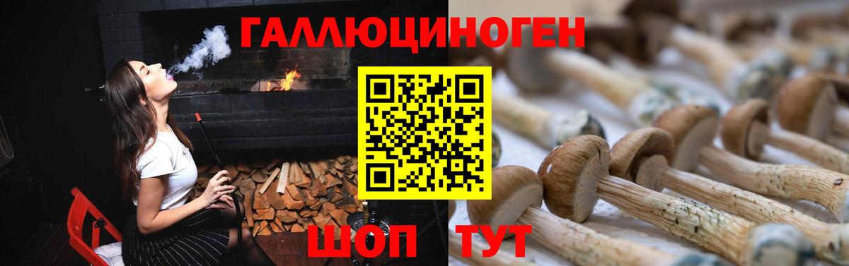 Галлюциногенные грибы Magic Shrooms  Вход с VPN  Юрга  Псилоцибиновые грибы MAGIC MUSHROOMS 